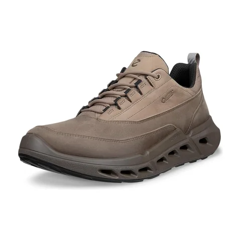 ECCO BIOM 720 GTX