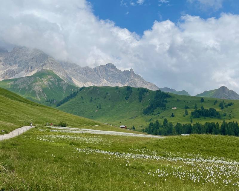 The meadows between Rifugio Fuciade and Passo San Pellegrino.