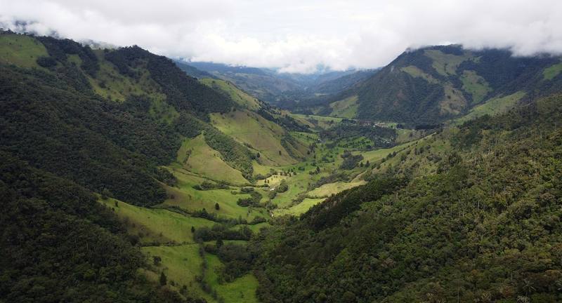 The Valle de Cocora, Day 1 near the start.