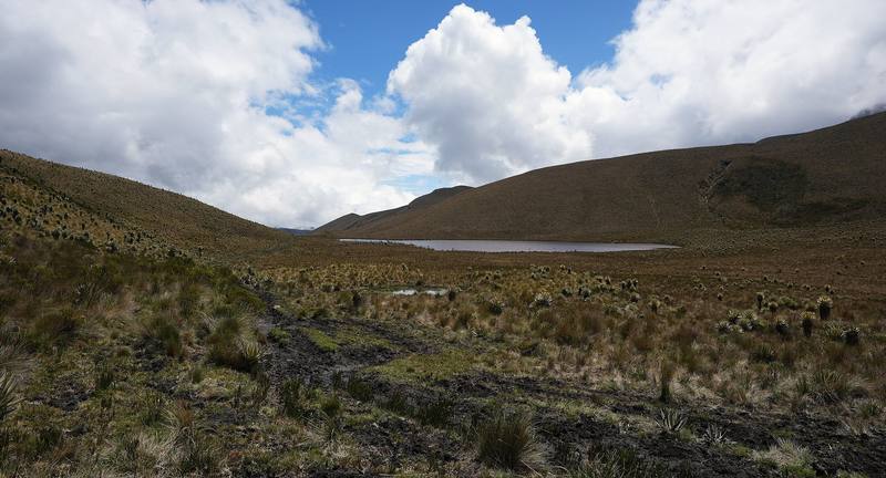 A lake in the paramo, Day 2.