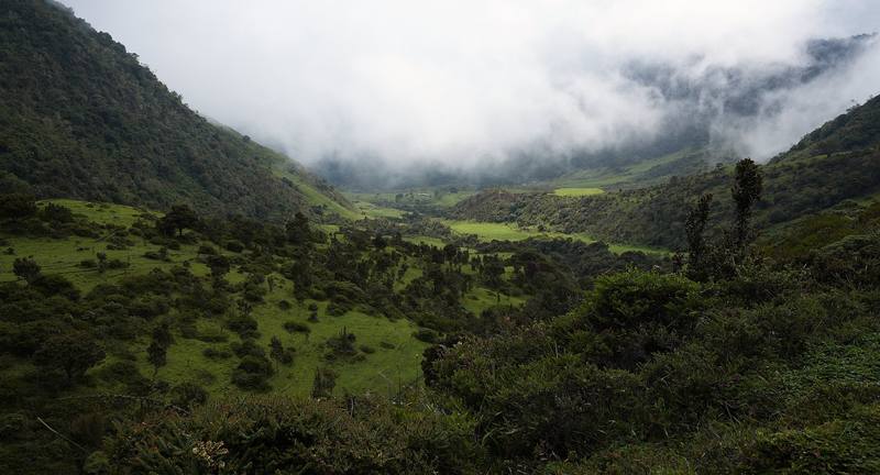 The valley toward Juntas, Day 3.