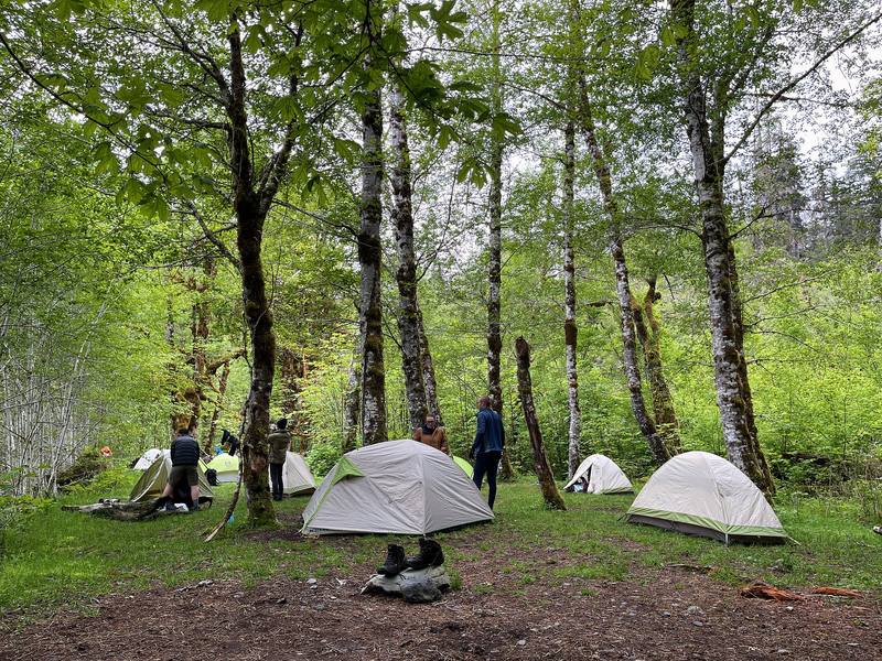 Tents at the O'Neil Creek camp, the evening of Day 1.