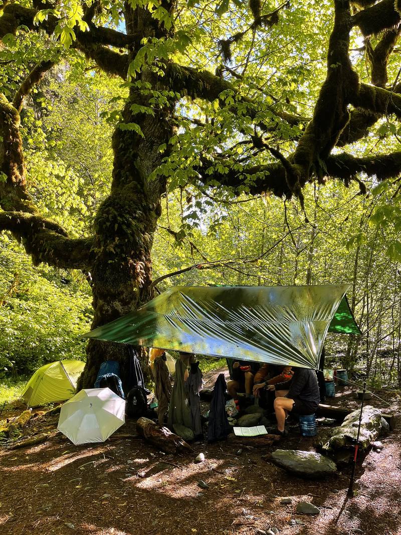 Under the tarps at the O'Neil Creek camp, the morning of Day 5.