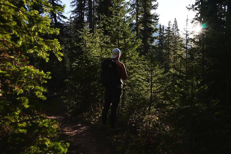 On the trail through the forest below Snowmass Lake, the morning of Day 2.