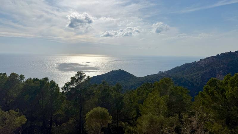 The sea from the trail between Port d'Andratx and Sant Elm.