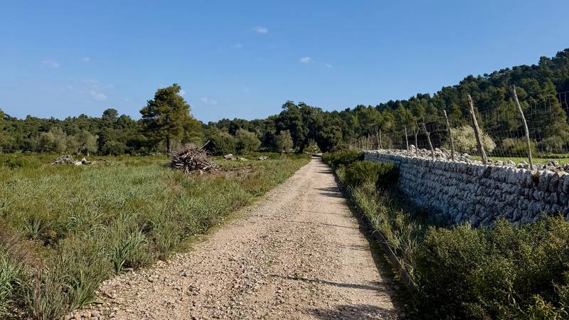 The wide track toward Pollença on Day 5.