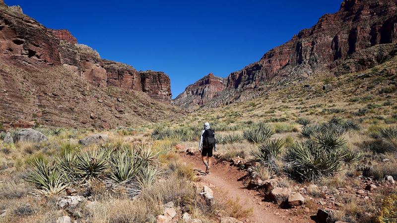 Me on the North Kaibab Trail just below Cottonwood Campground, Day 2, from my camera on its tripod.