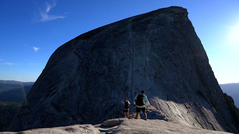 The cables, from the saddle below them.
