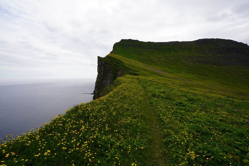 The path along the Hornbjarg cliff edge.