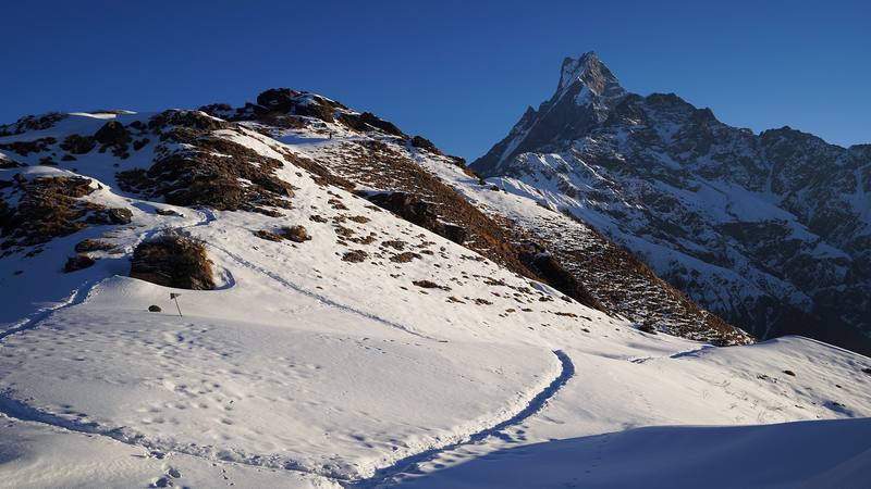 The ridge above High Camp at sunrise on Day 4, with Machapuchare.