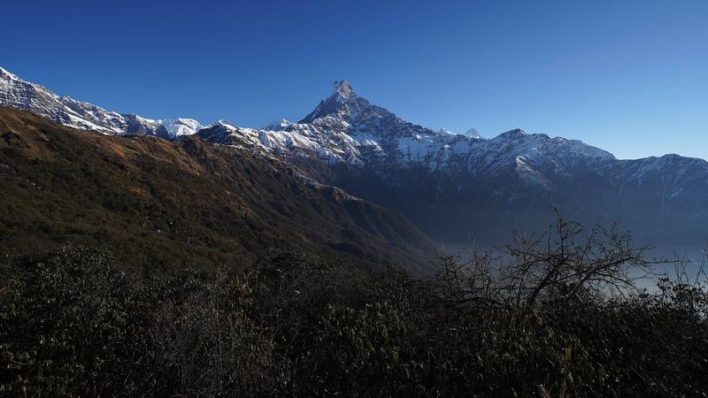Machapuchare, Fishtail Mountain, from the ridge below Badal Danda on the morning of Day 3.