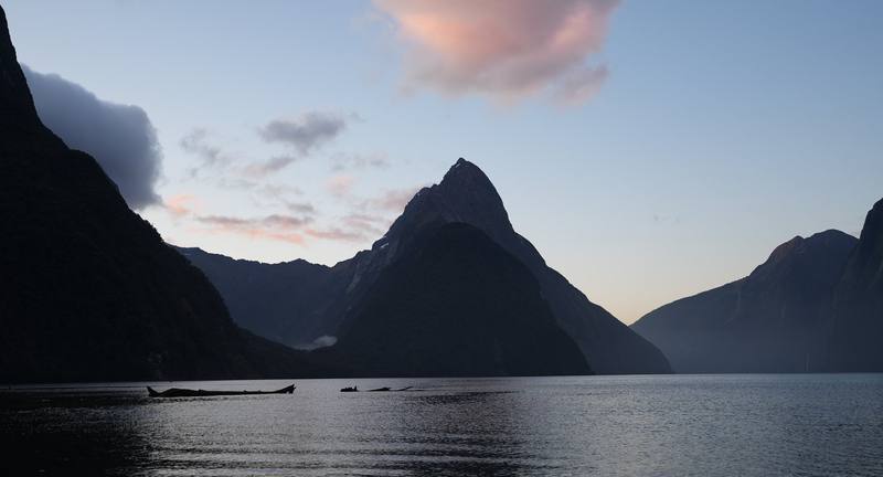 Milford Sound on the evening of Day 11.