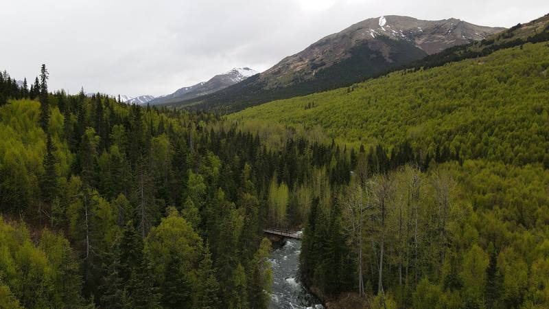 The Resurrection Creek valley on Day 1.