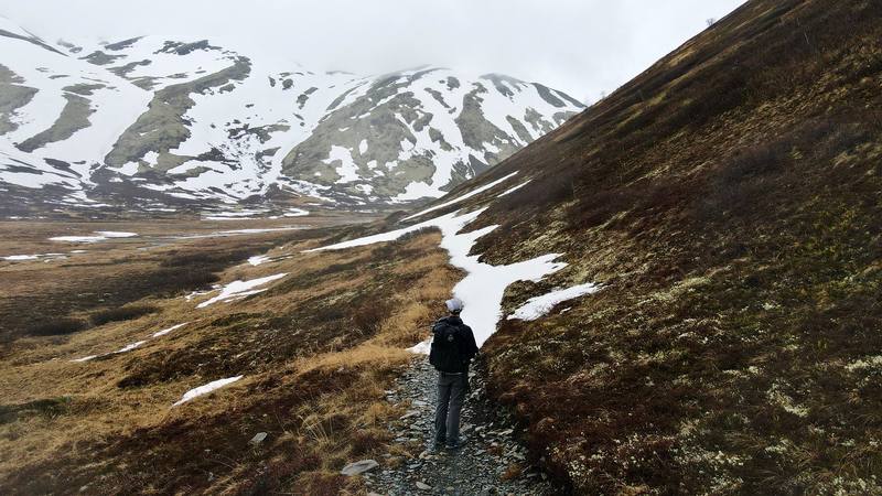 Walking the snowy valley just south of Resurrection Pass, Day 2.