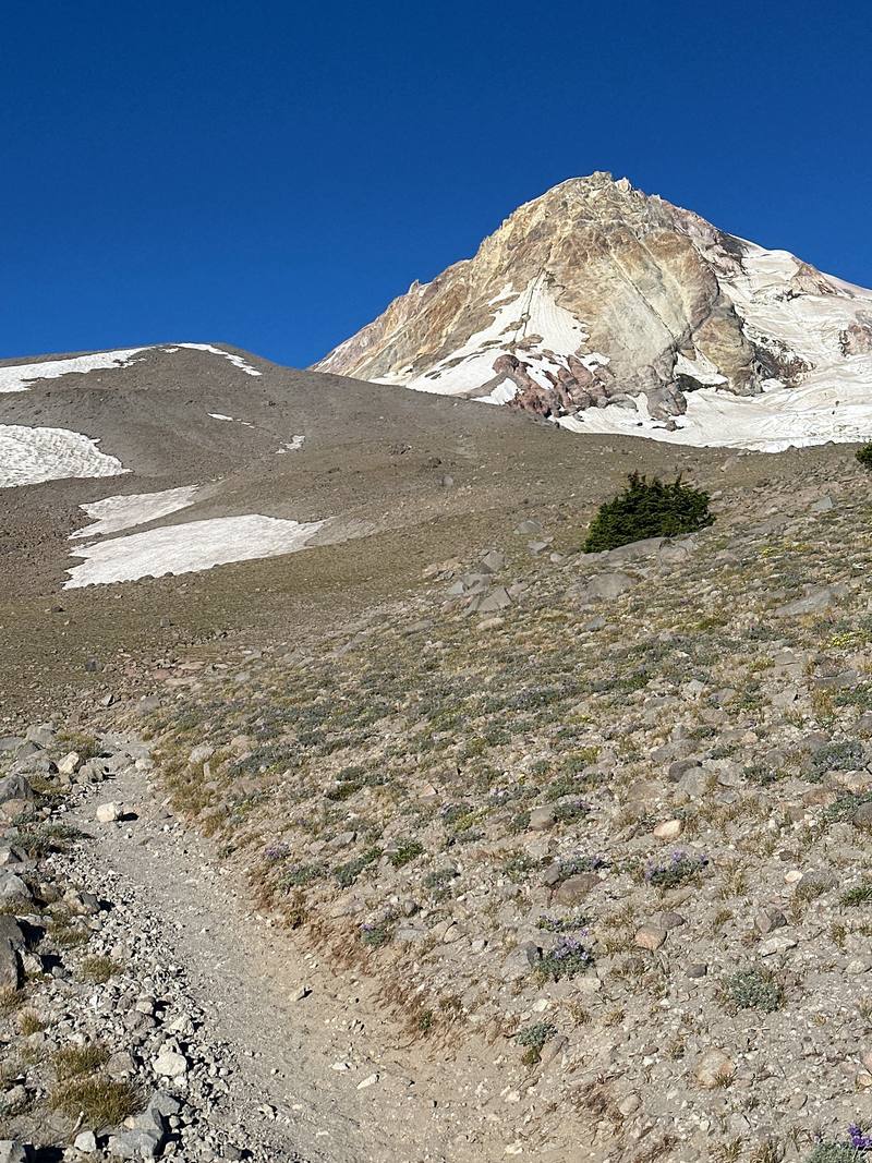 Mount Hood from the east side, an hour out of Cloud Cap, Day 2.