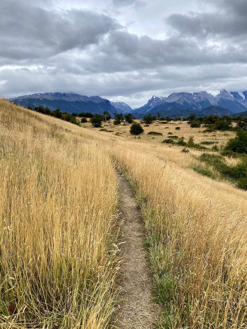 The path through dry grass on the first day, easy and nearly flat.