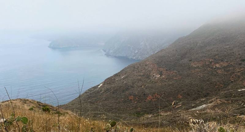 Morning fog over the coast above Little Harbor, Day 2 mile 2.4.