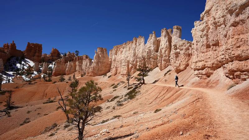 A wall of hoodoos on the Fairyland Loop, Day 2.