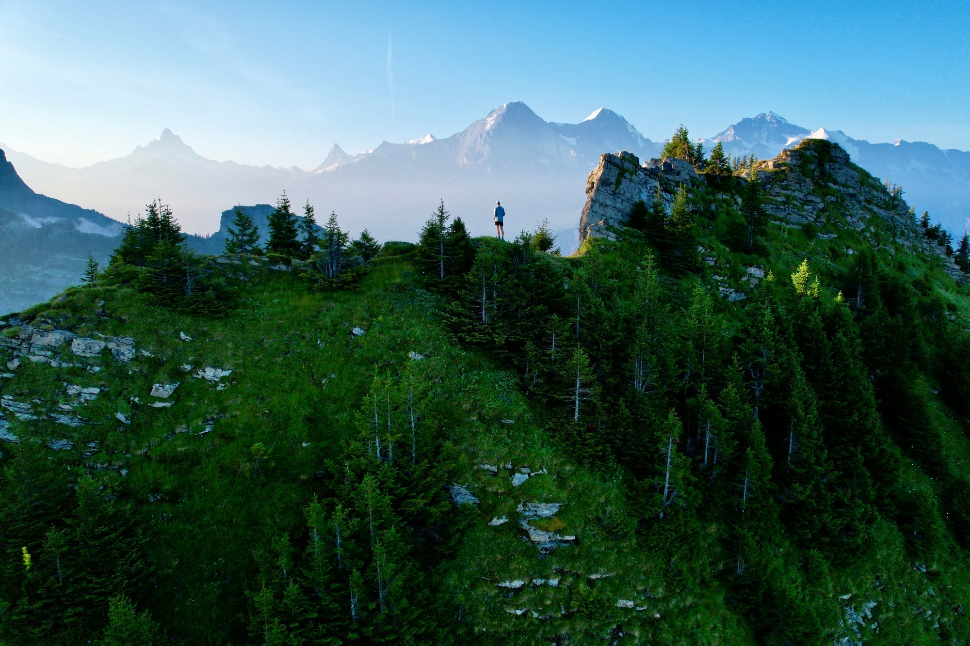 Kraig standing on a forested ridge at sunrise, with the Eiger, Mönch and Jungfrau behind